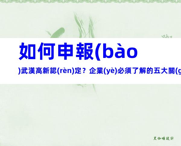 如何申報(bào)武漢高新認(rèn)定？企業(yè)必須了解的五大關(guān)鍵點(diǎn)