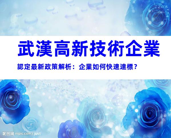 武漢高新技術企業認定最新政策解析：企業如何快速達標？