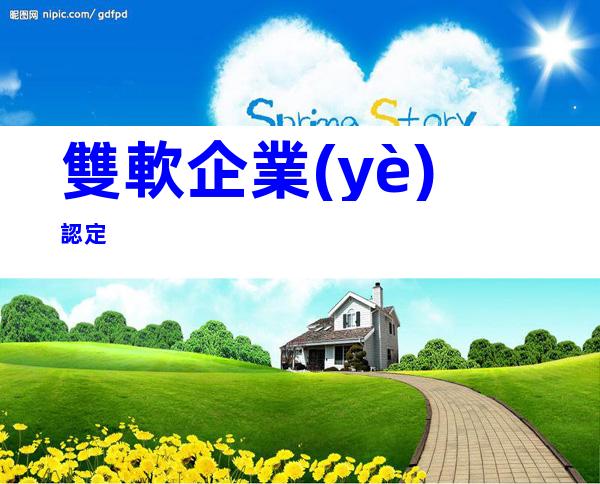 雙軟企業(yè)認定